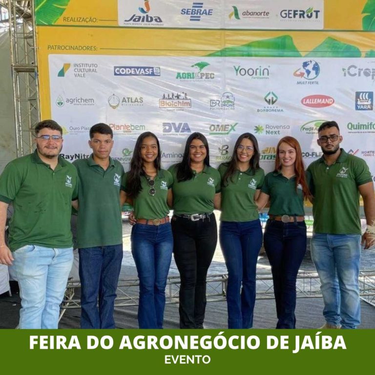 post-feirajaiba