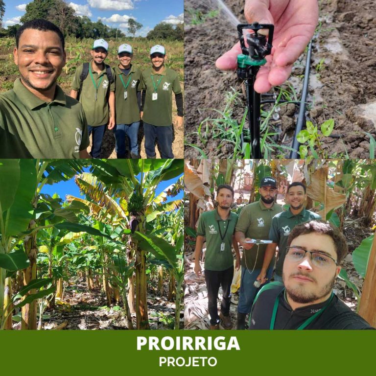 post-proirriga